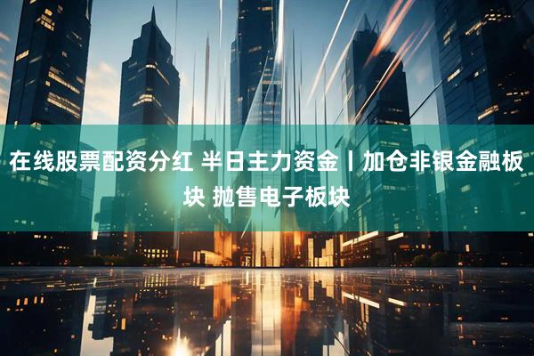 在线股票配资分红 半日主力资金丨加仓非银金融板块 抛售电子板块